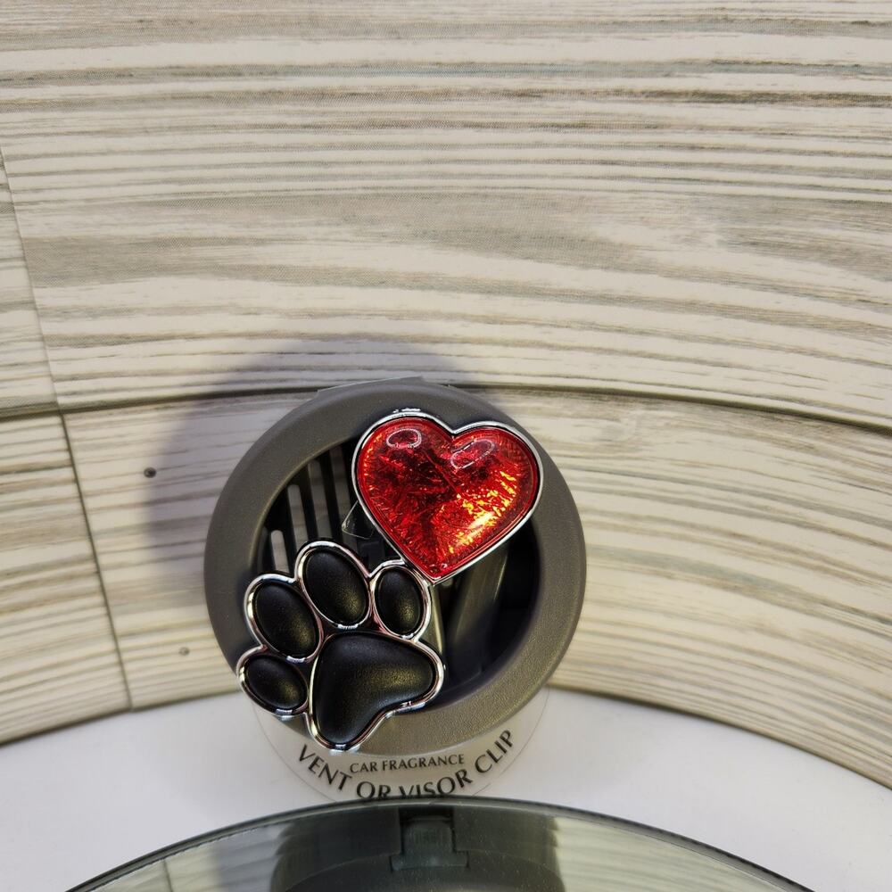 Vent visor clip pet